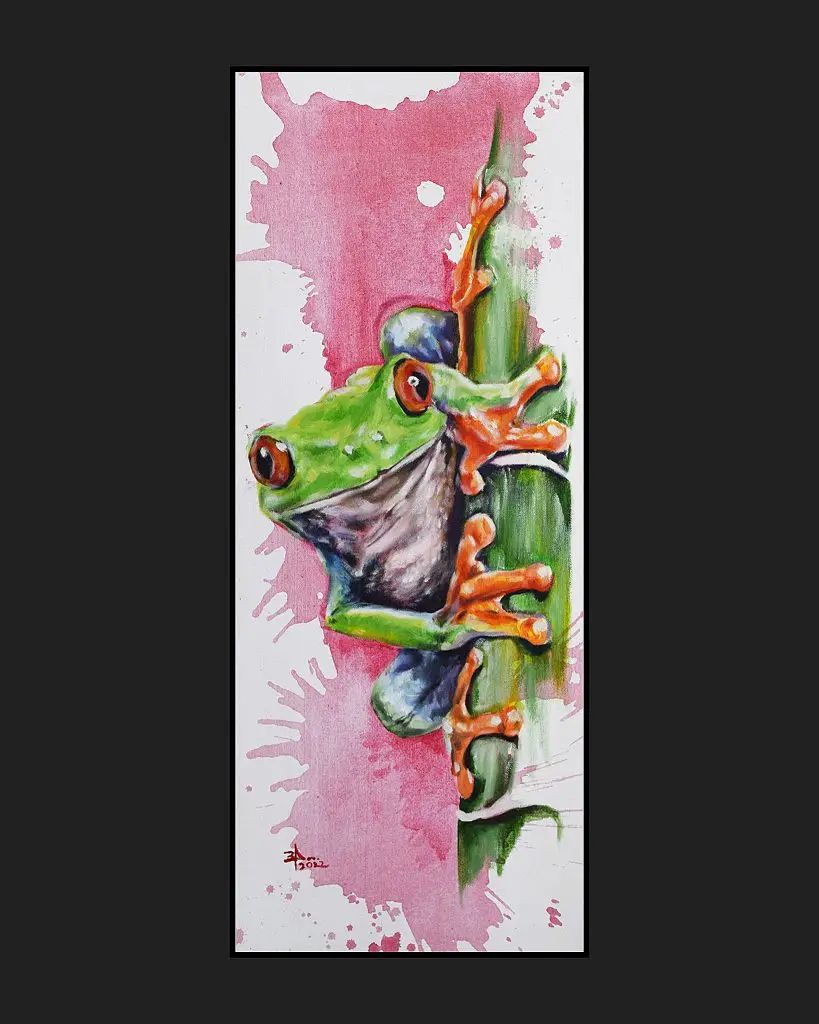 Red eye Tree Frog by Bevan Allicock