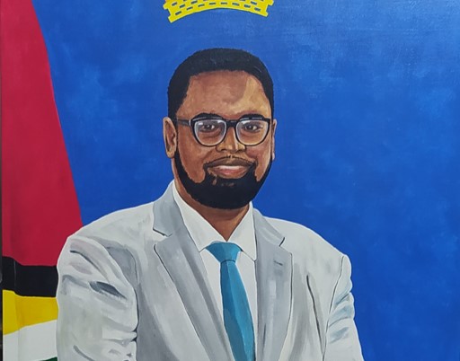 Portrait of Dr Mohamed Ifraan Ali