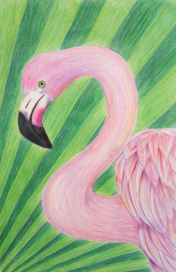 Kimberley Low-Flamingo