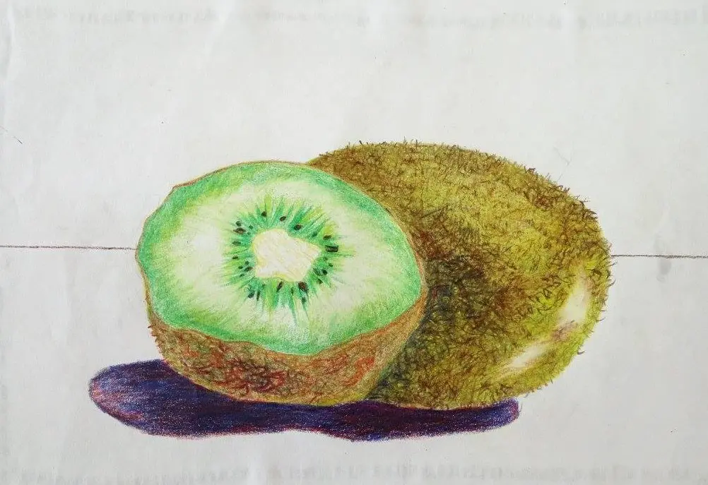 Kiwis color drawing