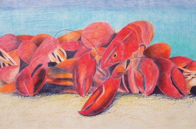 Lobster colored pencil drawing by Kiara Rolle
