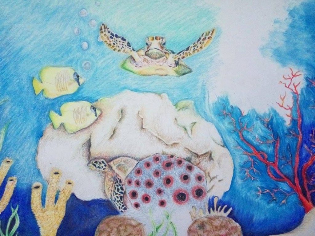 Colored pencil drawing of under the sea