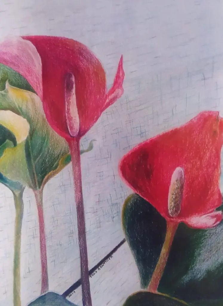 Red Flower Study by Tara Bentinck