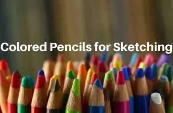 14 of The Best Types of Colored Pencils for Sketching