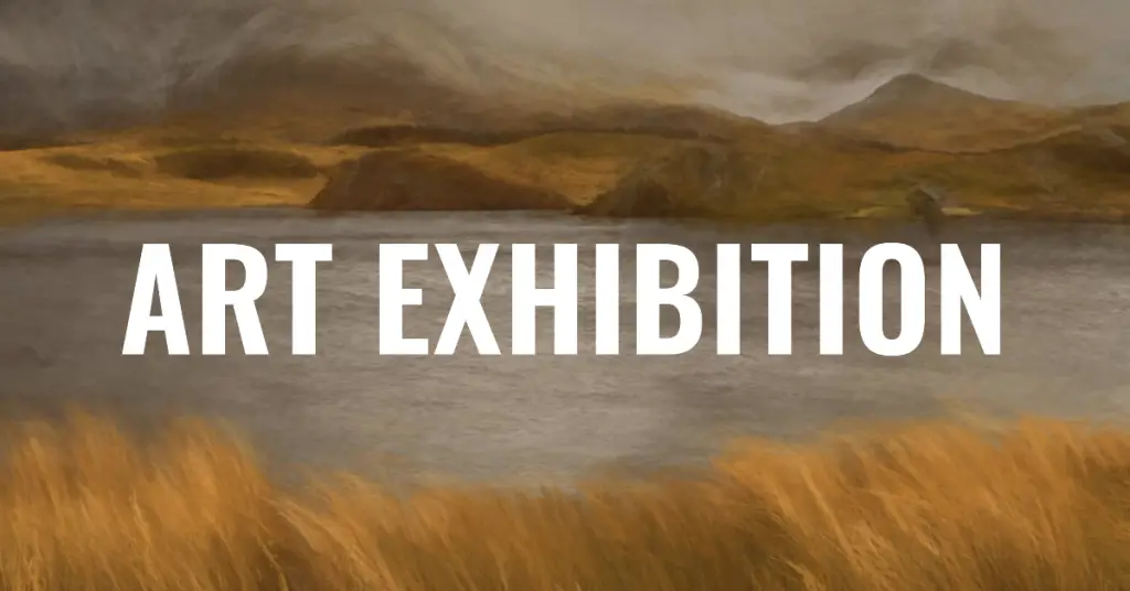 Art Exhibition
