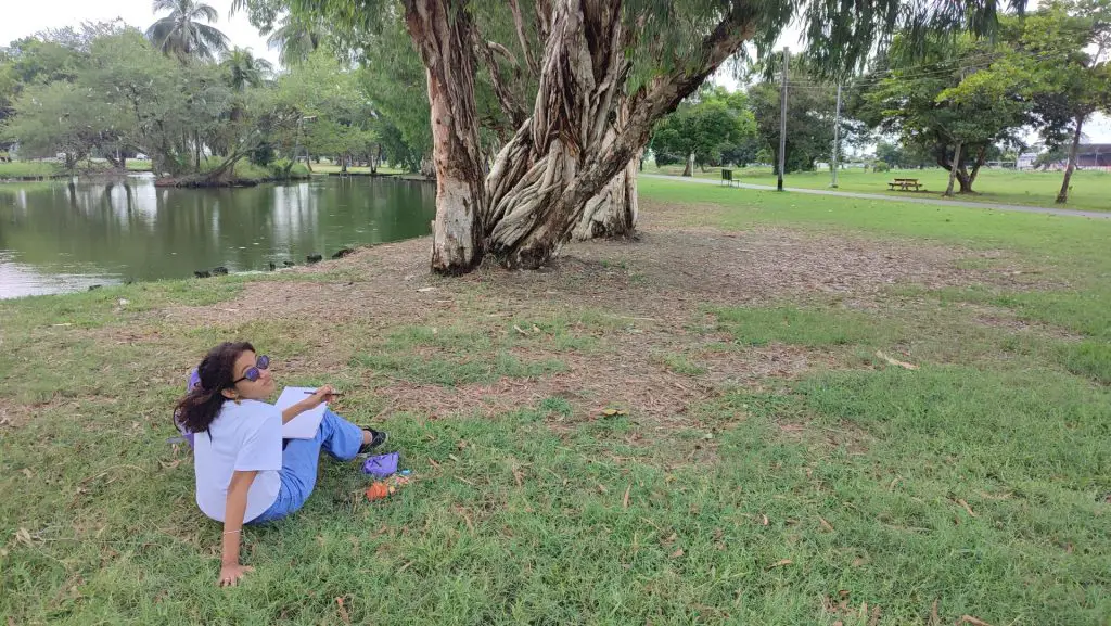 The Environmental Aspect of Plein Air Drawing