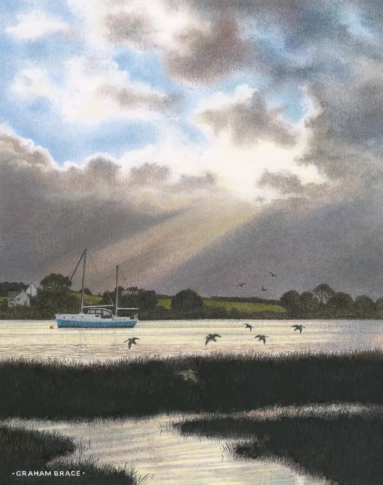 Snipe rising, Llangwm Ferry by Graham Brace 